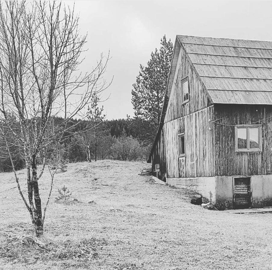 Vukov Konak - Wolf'S Lodge Zabljak  Bagian luar foto
