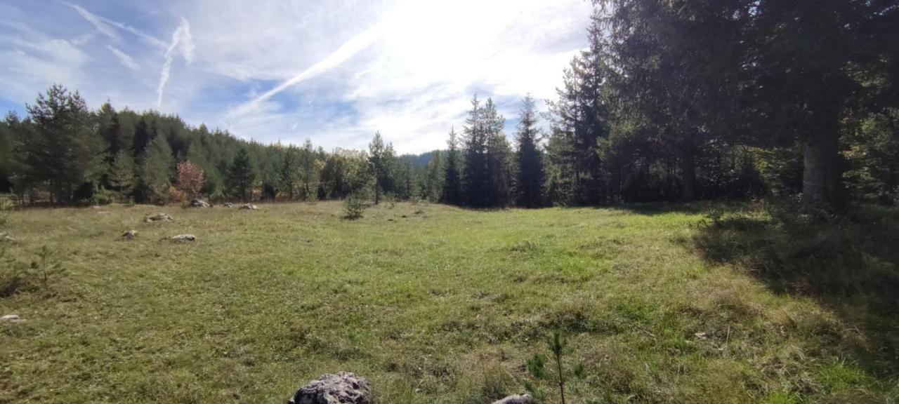 Vukov Konak - Wolf'S Lodge Zabljak  Bagian luar foto