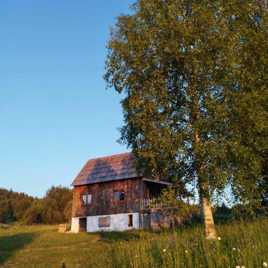 Vukov Konak - Wolf'S Lodge Zabljak  Bagian luar foto