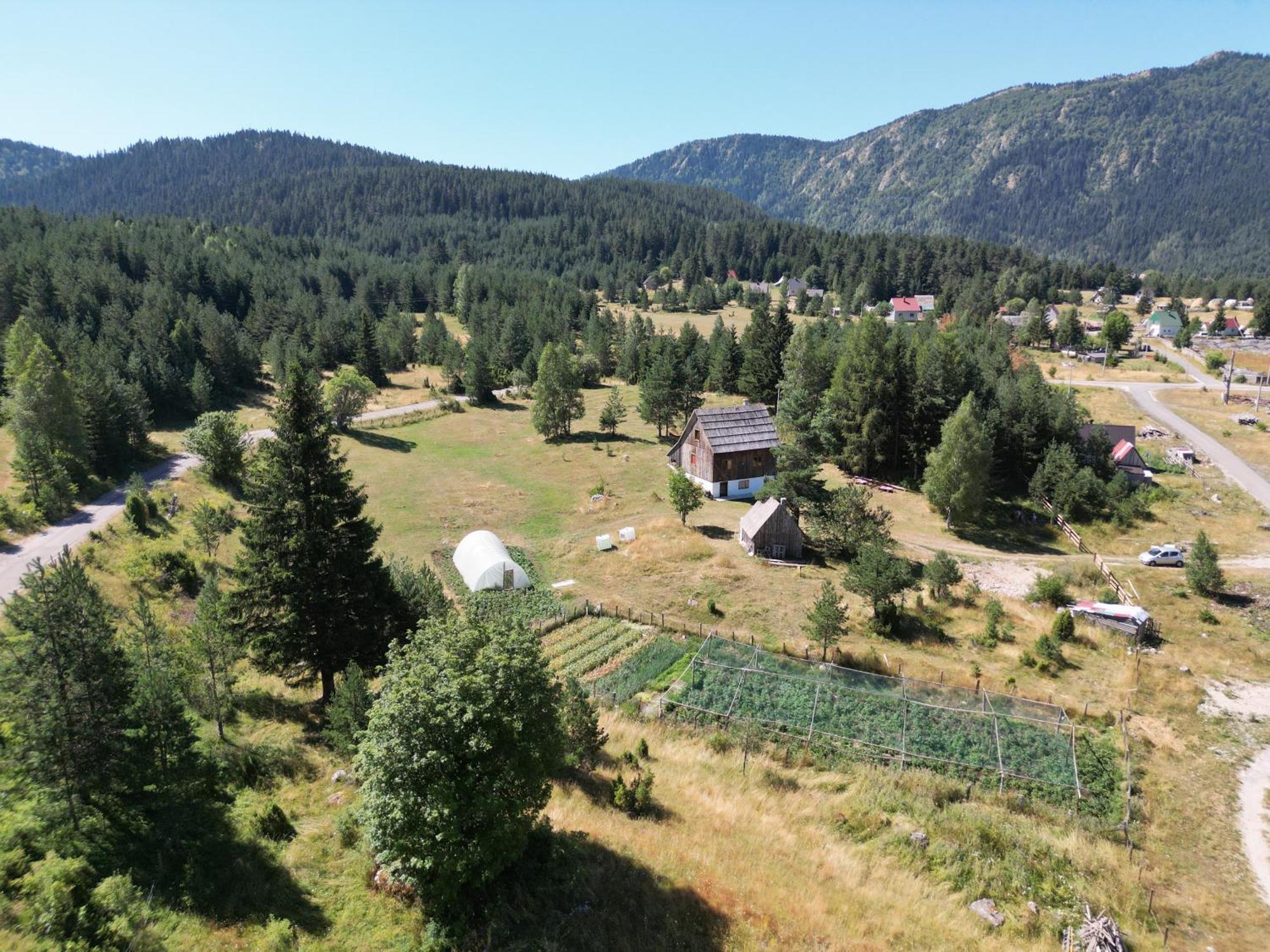 Vukov Konak - Wolf'S Lodge Zabljak  Bagian luar foto