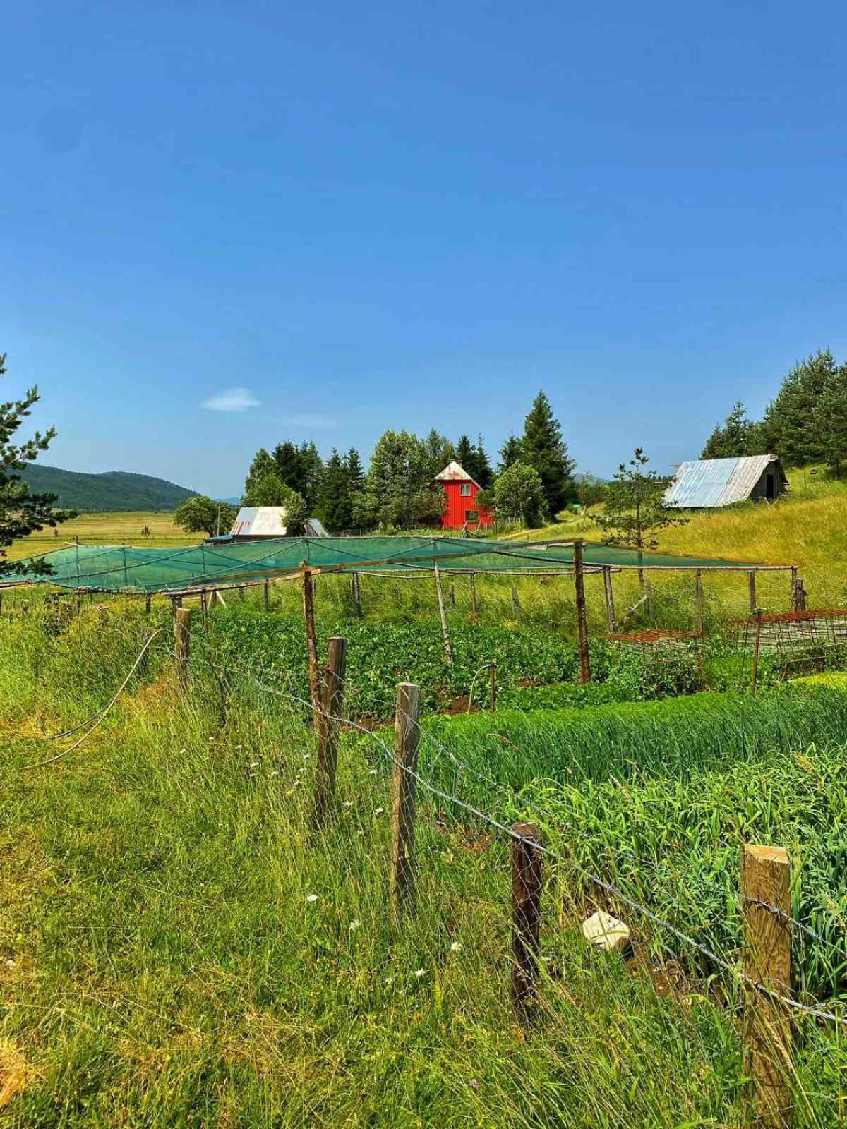 Vukov Konak - Wolf'S Lodge Zabljak  Bagian luar foto