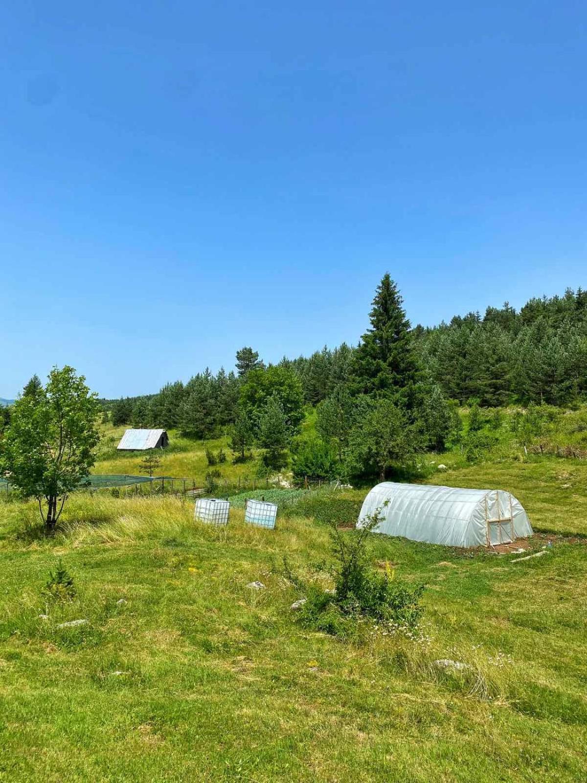 Vukov Konak - Wolf'S Lodge Zabljak  Bagian luar foto