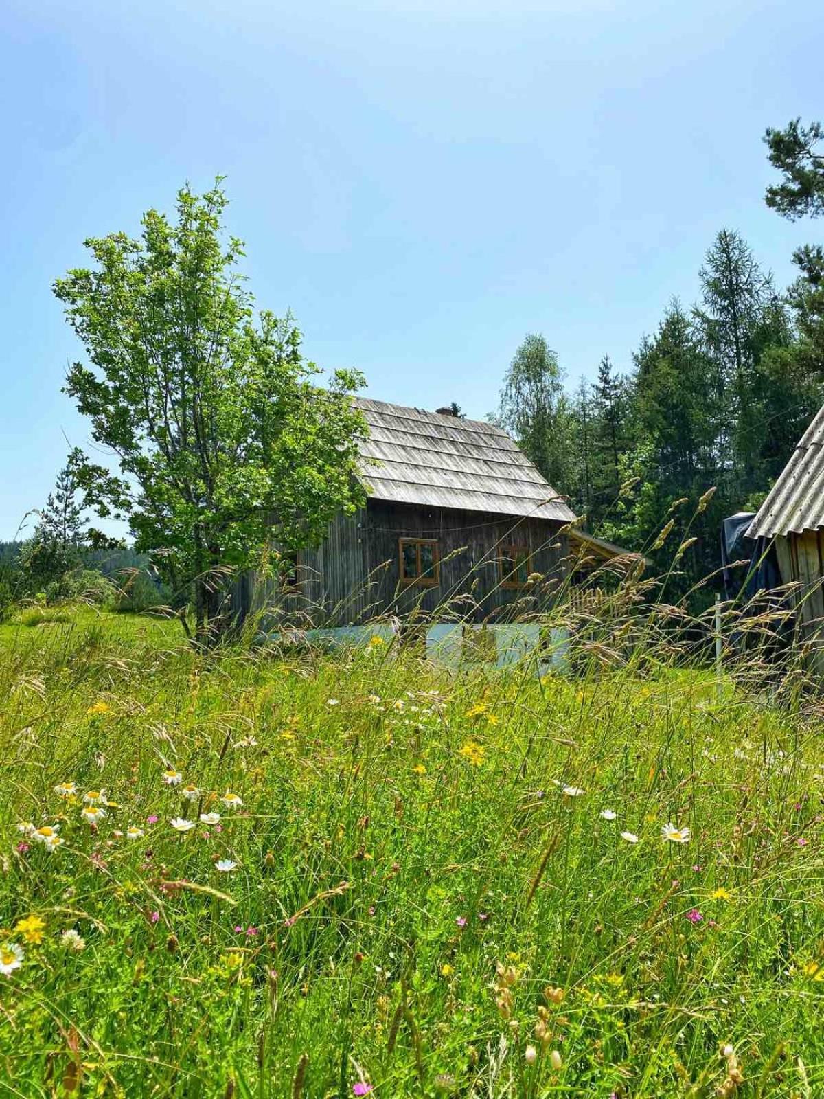 Vukov Konak - Wolf'S Lodge Zabljak  Bagian luar foto