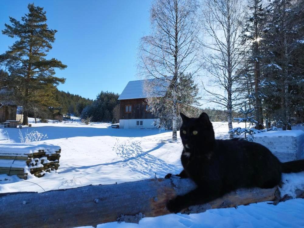 Vukov Konak - Wolf'S Lodge Zabljak  Bagian luar foto