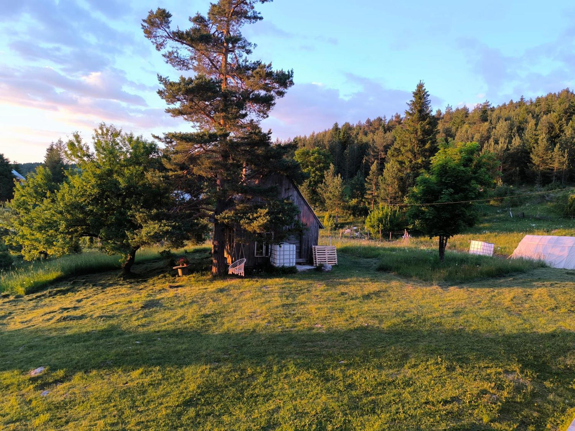 Vukov Konak - Wolf'S Lodge Zabljak  Bagian luar foto