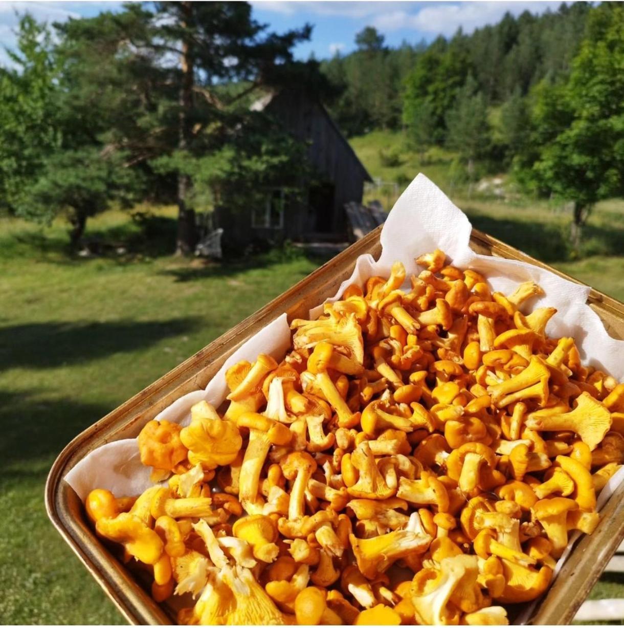 Vukov Konak - Wolf'S Lodge Zabljak  Bagian luar foto