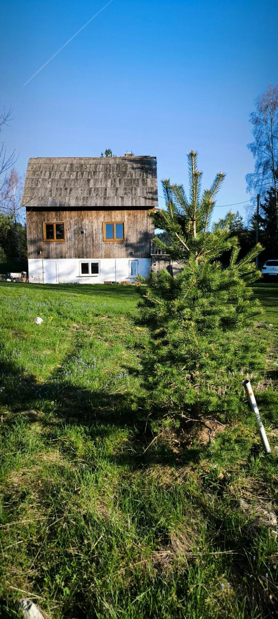 Vukov Konak - Wolf'S Lodge Zabljak  Bagian luar foto