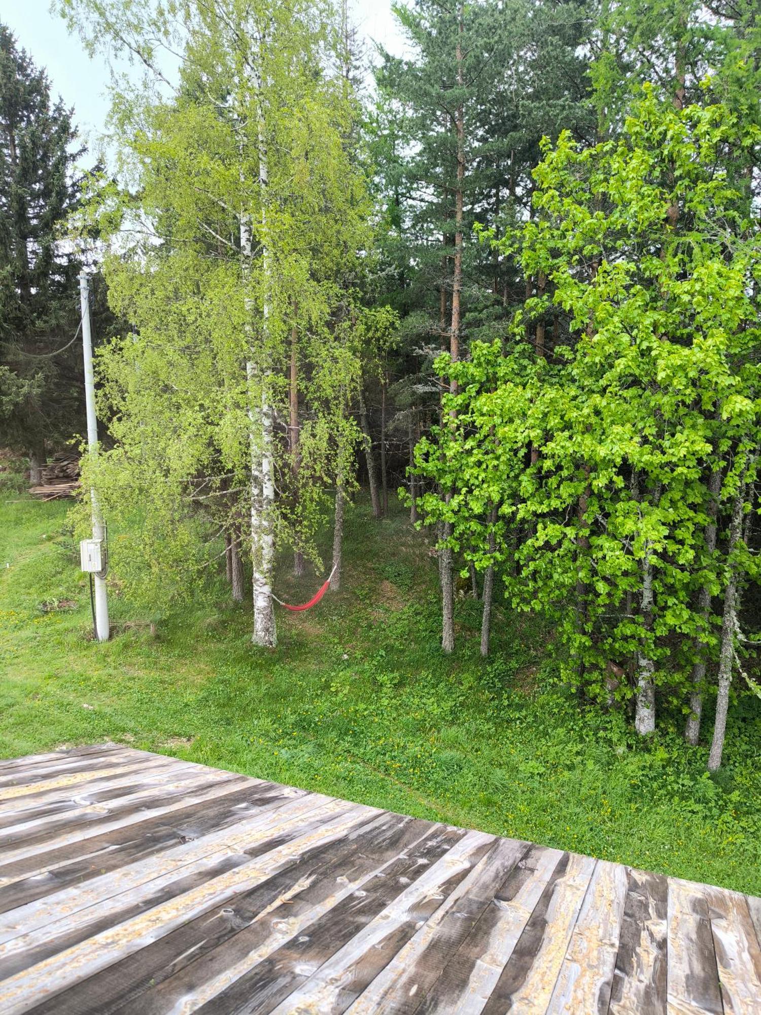 Vukov Konak - Wolf'S Lodge Zabljak  Bagian luar foto
